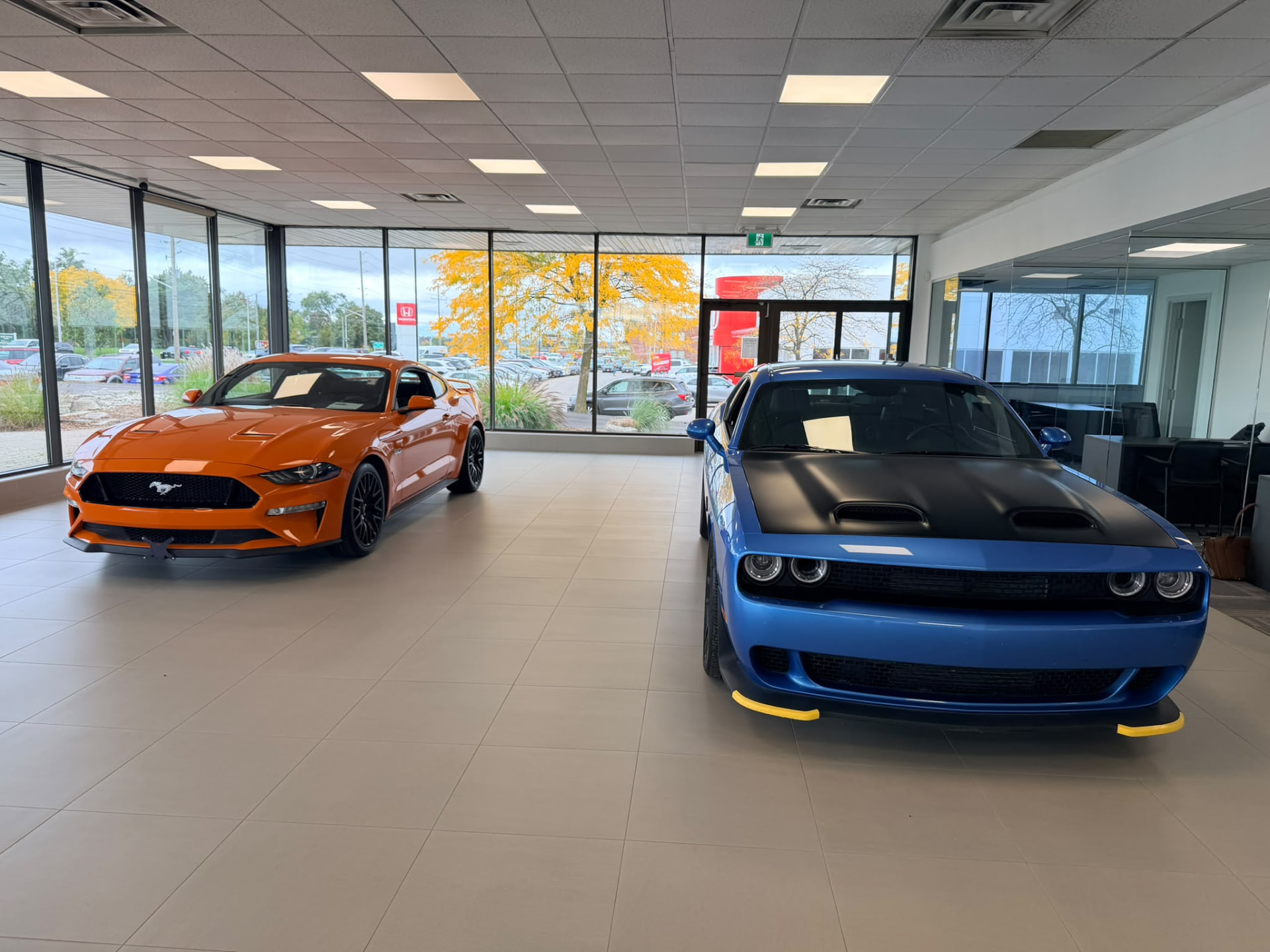 Mustang and Challenger inside the Finch showroom